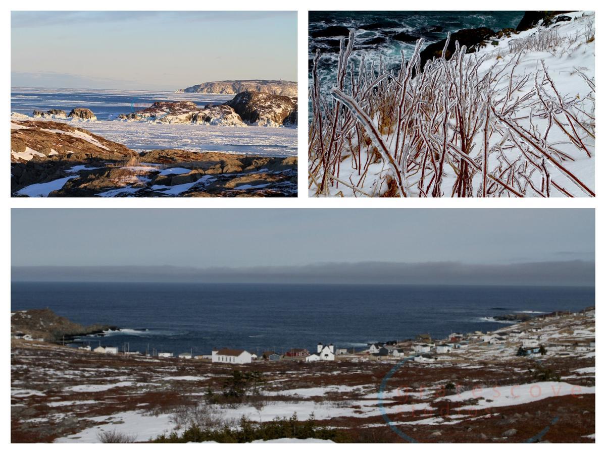 Grates Cove Studios: B&B In Historic Grates Cove 外观 照片