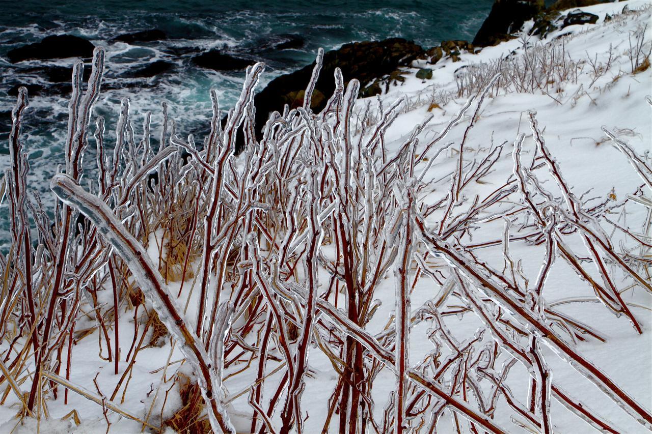 Grates Cove Studios: B&B In Historic Grates Cove 外观 照片