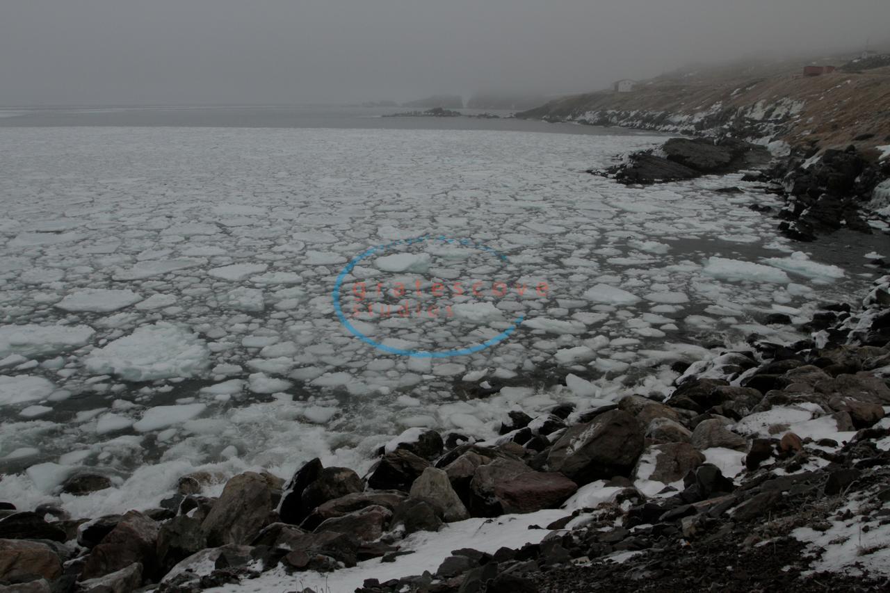 Grates Cove Studios: B&B In Historic Grates Cove 外观 照片