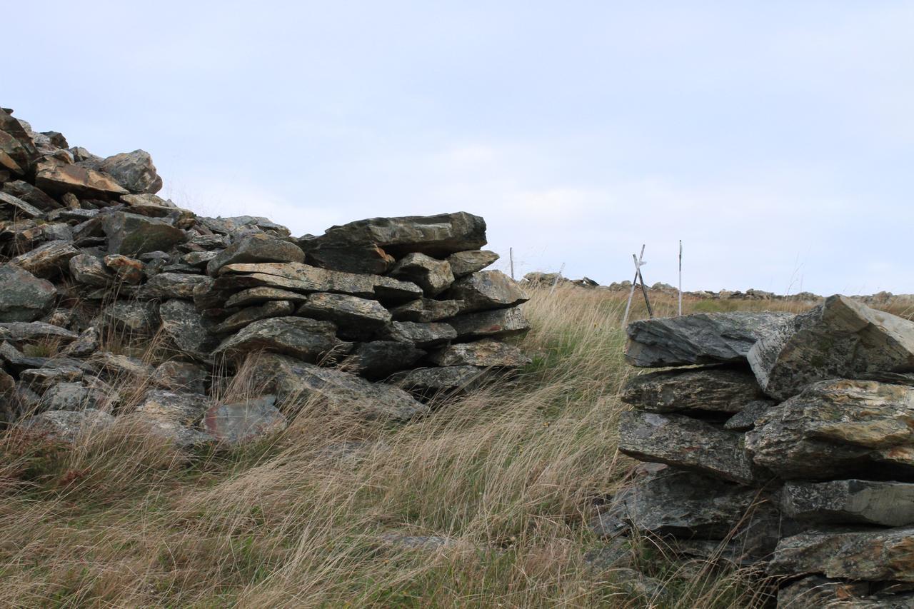 Grates Cove Studios: B&B In Historic Grates Cove 外观 照片